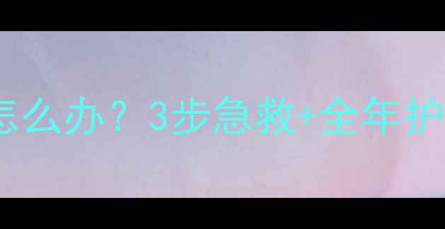 图片 🐾狗狗皮肤干燥起皮屑怎么办？3步急救+全年护理攻略（附天然配方）1