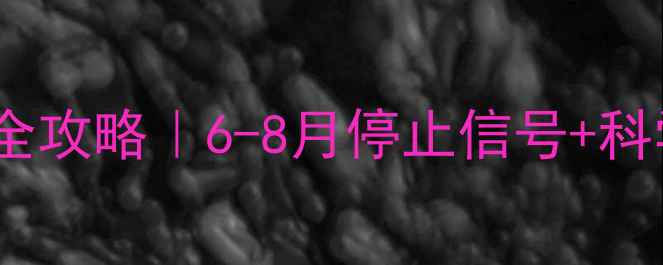 图片 🐾狗狗磨牙期全攻略｜6-8月停止信号+科学护理指南🐶1