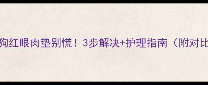 图片 🐾狗狗红眼肉垫别慌！3步解决+护理指南（附对比图）