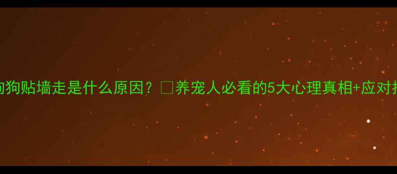 图片 🐾狗狗贴墙走是什么原因？🐾养宠人必看的5大心理真相+应对指南