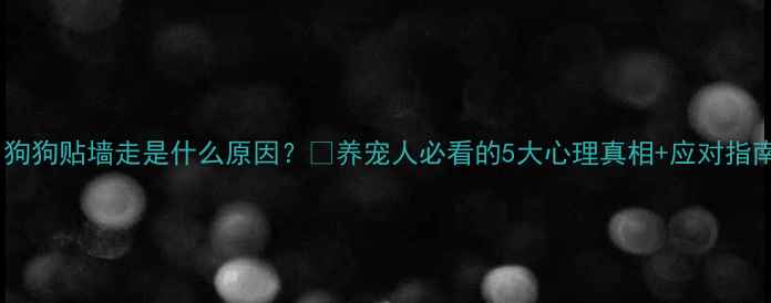 图片 🐾狗狗贴墙走是什么原因？🐾养宠人必看的5大心理真相+应对指南1
