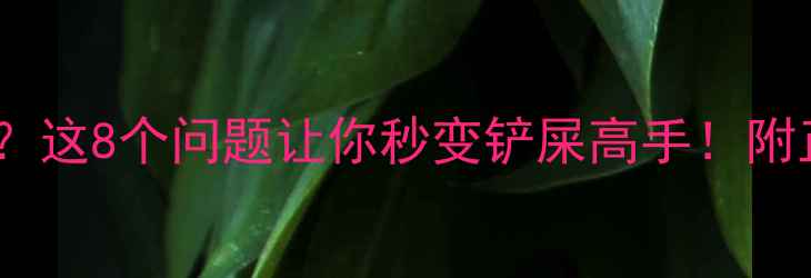 图片 🐾猫咪不用猫砂？这8个问题让你秒变铲屎高手！附正确训练指南🐾2