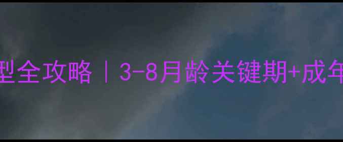 图片 🐾猫咪体型定型全攻略｜3-8月龄关键期+成年后养护指南✨