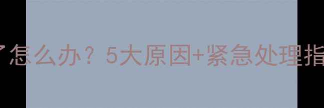图片 🐾猫咪吃了东西吐了怎么办？5大原因+紧急处理指南（附喂食禁忌）2
