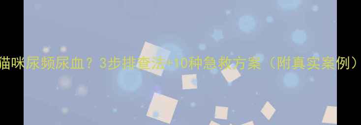 图片 🐾猫咪尿频尿血？3步排查法+10种急救方案（附真实案例）🐾