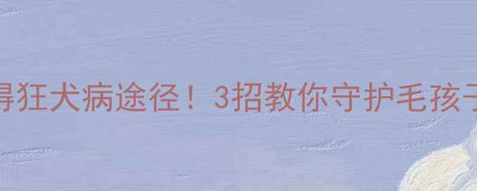 图片 🐾猫咪得狂犬病途径！3招教你守护毛孩子安全🐱