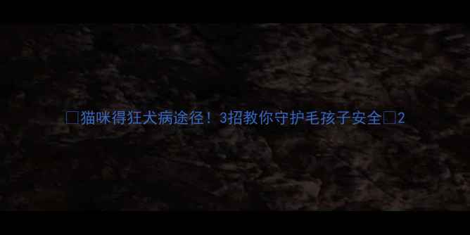 图片 🐾猫咪得狂犬病途径！3招教你守护毛孩子安全🐱2