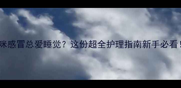 图片 🐾猫咪感冒总爱睡觉？这份超全护理指南新手必看！🏥1