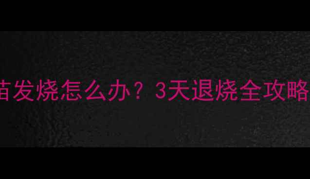 图片 🐾猫咪打完疫苗发烧怎么办？3天退烧全攻略+护理禁忌清单