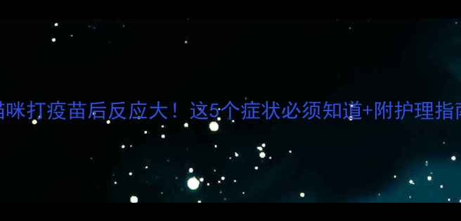 图片 🐾猫咪打疫苗后反应大！这5个症状必须知道+附护理指南🐾