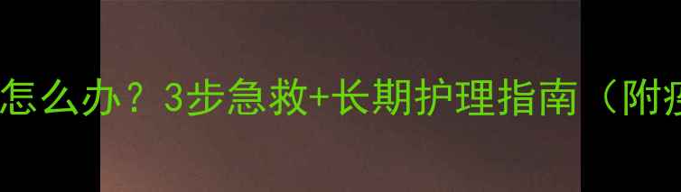 图片 🐾猫咪打疫苗后呕吐怎么办？3步急救+长期护理指南（附疫苗后护理全攻略）1