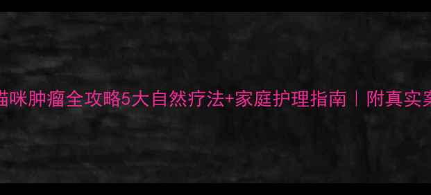 图片 🐾猫咪肿瘤全攻略5大自然疗法+家庭护理指南｜附真实案例