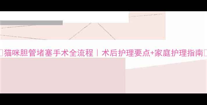 图片 🐾猫咪胆管堵塞手术全流程｜术后护理要点+家庭护理指南🏥