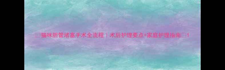 图片 🐾猫咪胆管堵塞手术全流程｜术后护理要点+家庭护理指南🏥1