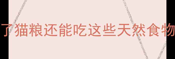 图片 🐾猫咪食谱大公开！除了猫粮还能吃这些天然食物（附营养配比攻略）🐾