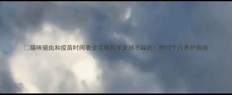 图片 🐾猫咪驱虫和疫苗时间表全攻略科学安排不踩坑！附12个月养护指南