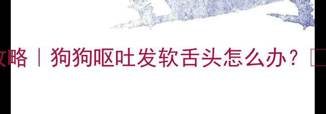 图片 🐾疫苗后异常反应全攻略｜狗狗呕吐发软舌头怎么办？💉⚠️附紧急护理指南1
