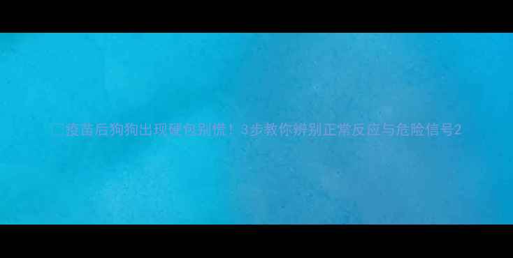 图片 🐾疫苗后狗狗出现硬包别慌！3步教你辨别正常反应与危险信号2