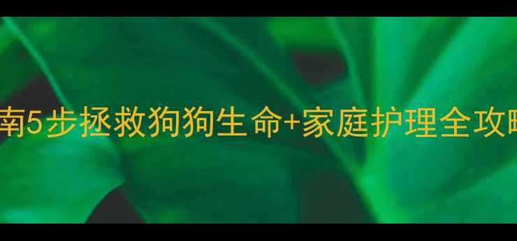 图片 🐾突发癫痫急救指南5步拯救狗狗生命+家庭护理全攻略（附真实案例）1
