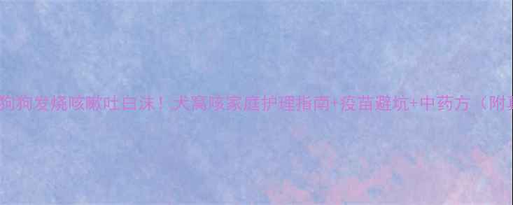 图片 🐾紧急处理狗狗发烧咳嗽吐白沫！犬窝咳家庭护理指南+疫苗避坑+中药方（附真实案例）1