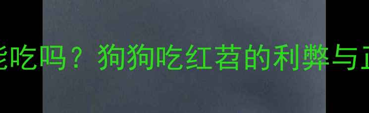 图片 🐾红苕拉布拉多能吃吗？狗狗吃红苕的利弊与正确喂养指南！🍠