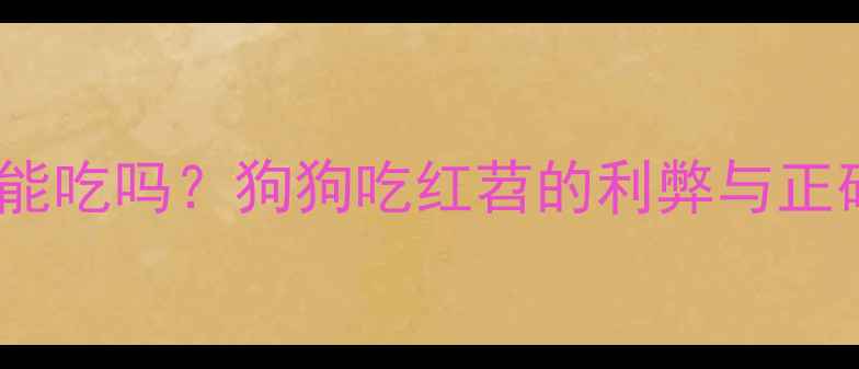 图片 🐾红苕拉布拉多能吃吗？狗狗吃红苕的利弊与正确喂养指南！🍠2