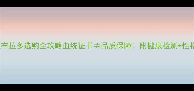 图片 🐾纯种vs双血统拉布拉多选购全攻略血统证书≠品质保障！附健康检测+性格对比+避坑指南🐶
