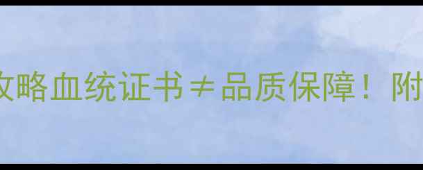 图片 🐾纯种vs双血统拉布拉多选购全攻略血统证书≠品质保障！附健康检测+性格对比+避坑指南🐶2