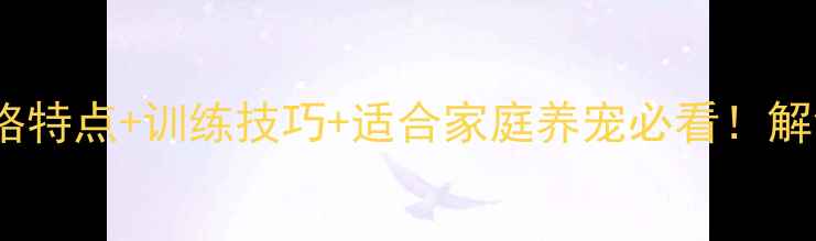 图片 🐾纯种拉布拉多性格特点+训练技巧+适合家庭养宠必看！解锁金毛般的治愈感2