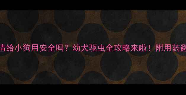图片 🐾肠虫清给小狗用安全吗？幼犬驱虫全攻略来啦！附用药避坑指南