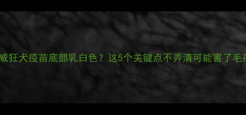图片 🐾英特威狂犬疫苗底部乳白色？这5个关键点不弄清可能害了毛孩子！2
