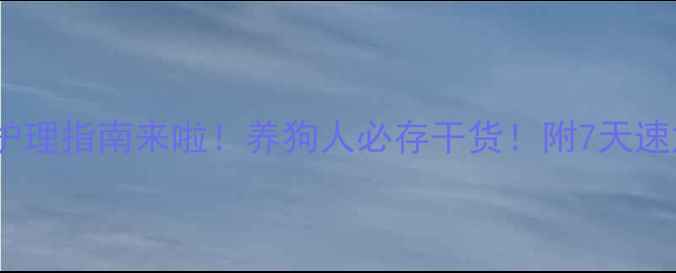 图片 🐾被全网催更的狗狗感冒护理指南来啦！养狗人必存干货！附7天速愈家庭疗法+用药避坑清单