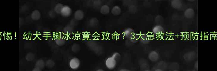 图片 🐾警惕！幼犬手脚冰凉竟会致命？3大急救法+预防指南全2