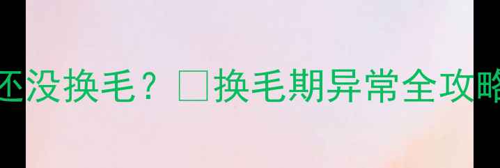 图片 🐾边境牧羊犬1岁3个月还没换毛？🔥换毛期异常全攻略+健康隐患自查清单✅1