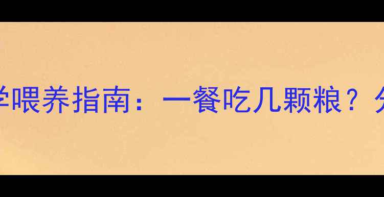 图片 🐾边境牧羊犬2月龄科学喂养指南：一餐吃几颗粮？分月龄喂食表+注意事项