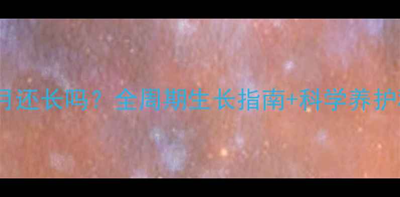 图片 🐾边境牧羊犬9个月还长吗？全周期生长指南+科学养护秘籍（附对比图）