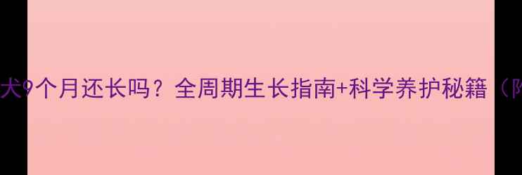 图片 🐾边境牧羊犬9个月还长吗？全周期生长指南+科学养护秘籍（附对比图）1