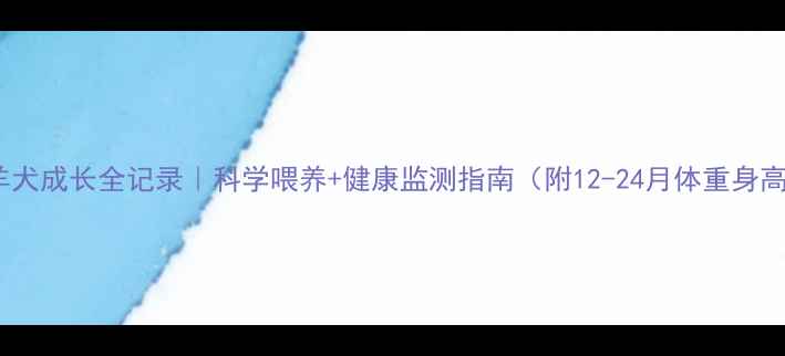 图片 🐾边境牧羊犬成长全记录｜科学喂养+健康监测指南（附12-24月体重身高对照表）1