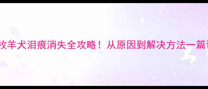 图片 🐾边境牧羊犬泪痕消失全攻略！从原因到解决方法一篇说清🔍1