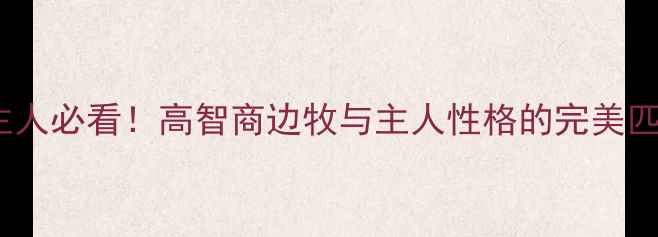 图片 🐾边牧主人必看！高智商边牧与主人性格的完美匹配公式2