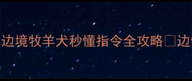 图片 🐾边牧口哨训练终极指南｜边境牧羊犬秒懂指令全攻略🔥边牧训练宠物沟通狗狗服从性