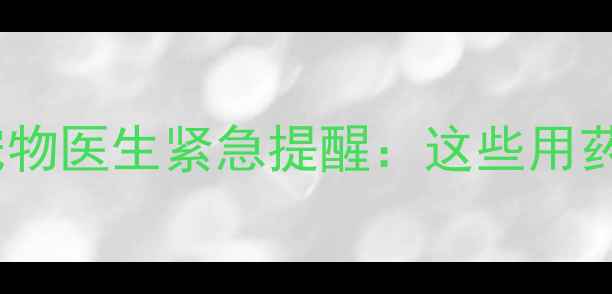 图片 🐾边牧可以吃阿莫西林吗？宠物医生紧急提醒：这些用药误区正在毁掉你的汪星人！2
