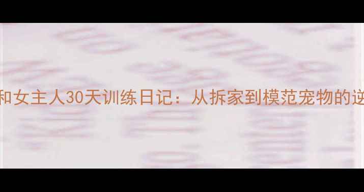 图片 🐾边牧和女主人30天训练日记：从拆家到模范宠物的逆袭实录