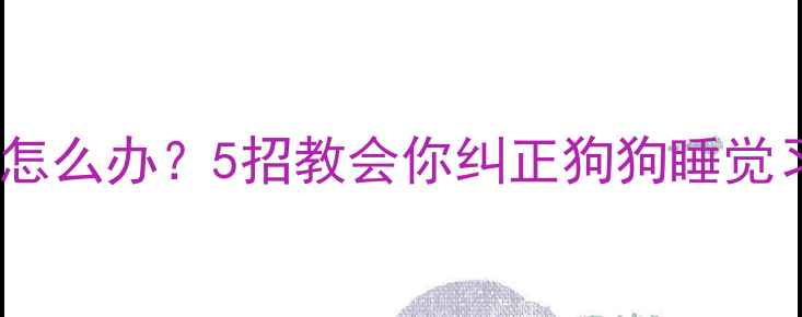 图片 🐾边牧幼犬不回窝睡怎么办？5招教会你纠正狗狗睡觉习惯（附真实案例）2