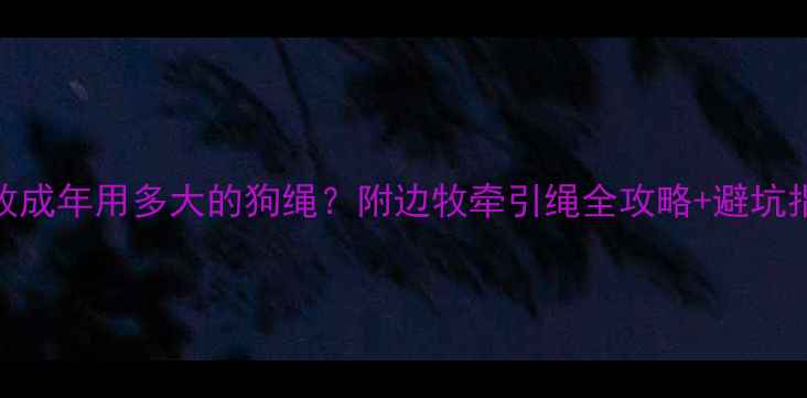 图片 🐾边牧成年用多大的狗绳？附边牧牵引绳全攻略+避坑指南🐾