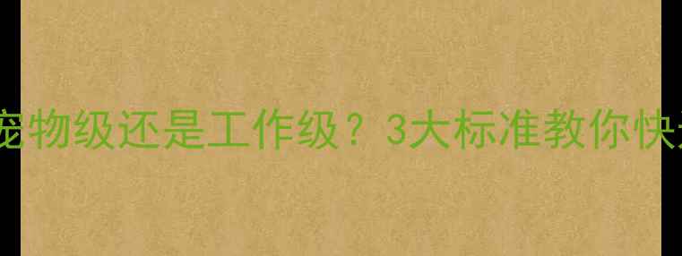 图片 🐾边牧是宠物级还是工作级？3大标准教你快速辨别！1