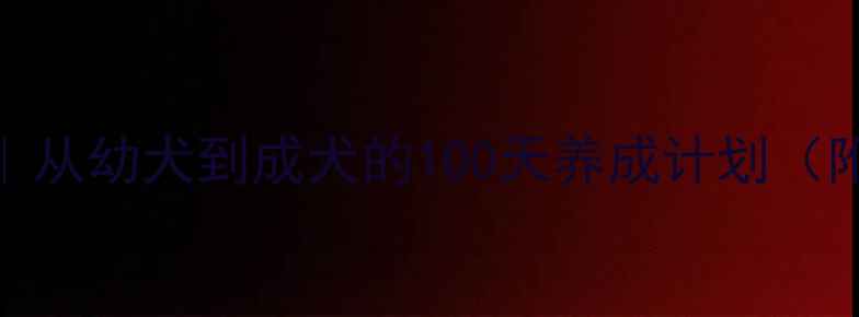 图片 🐾边牧训练全攻略｜从幼犬到成犬的100天养成计划（附保姆级养护指南）