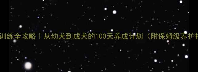 图片 🐾边牧训练全攻略｜从幼犬到成犬的100天养成计划（附保姆级养护指南）1