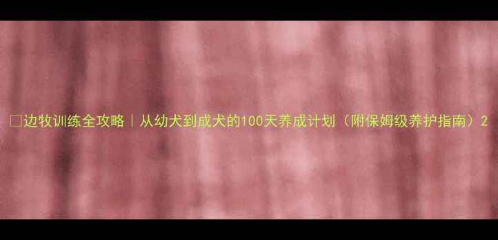 图片 🐾边牧训练全攻略｜从幼犬到成犬的100天养成计划（附保姆级养护指南）2