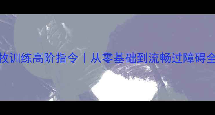 图片 🐾边牧训练高阶指令｜从零基础到流畅过障碍全攻略